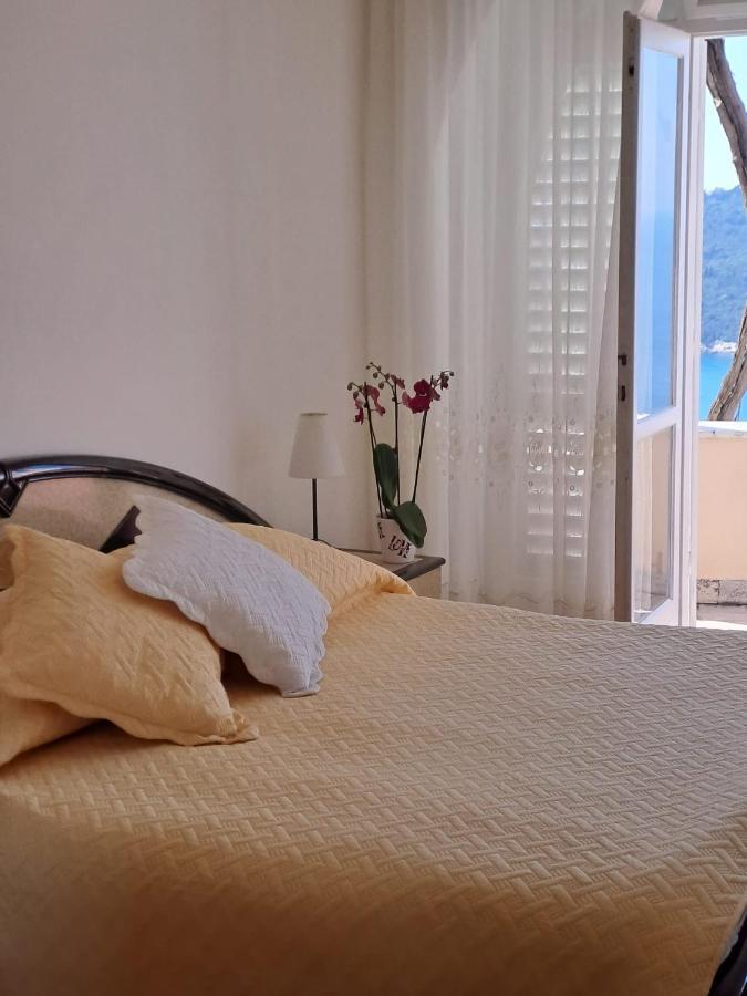 Amazing & Sea View Pensión Dubrovnik